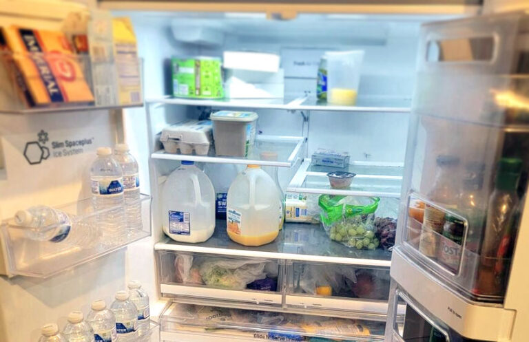 Why is My Refrigerator Making a Whirring Noise