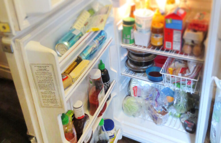 How Refrigerator Doors Automatically Close