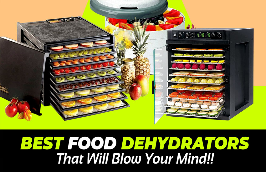 Best Food Dehydrators