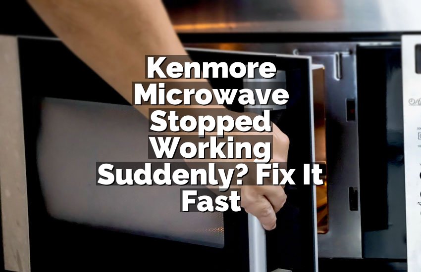Kenmore Microwave Stopped Working Suddenly? Fix It Fast