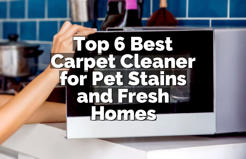 Top 6 Best Carpet Cleaner for Pet Stains and Fresh Homes