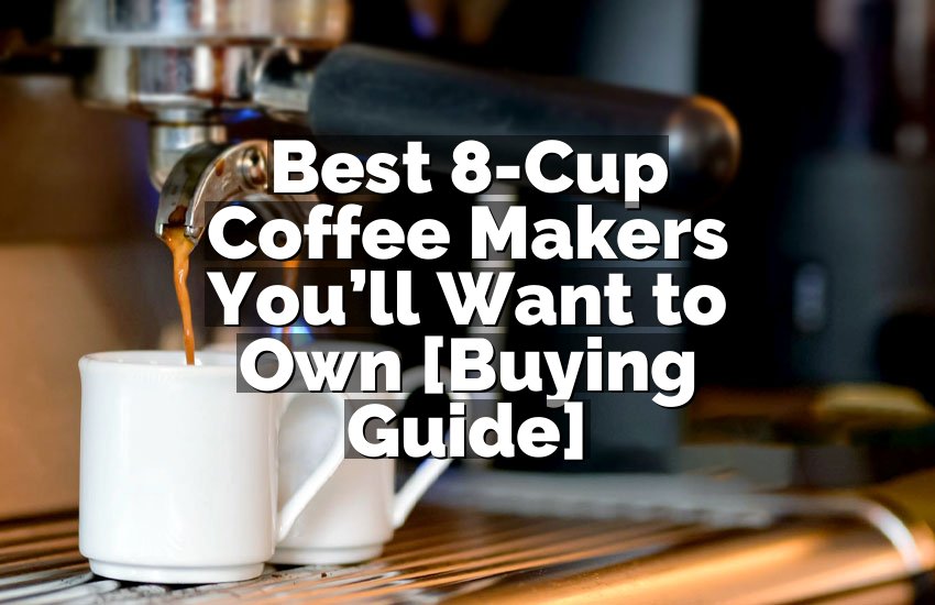 Best 8-Cup Coffee Makers You’ll Want to Own [Buying Guide]