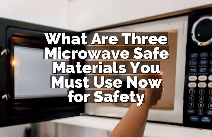 What Are Three Microwave Safe Materials You Must Use Now for Safety