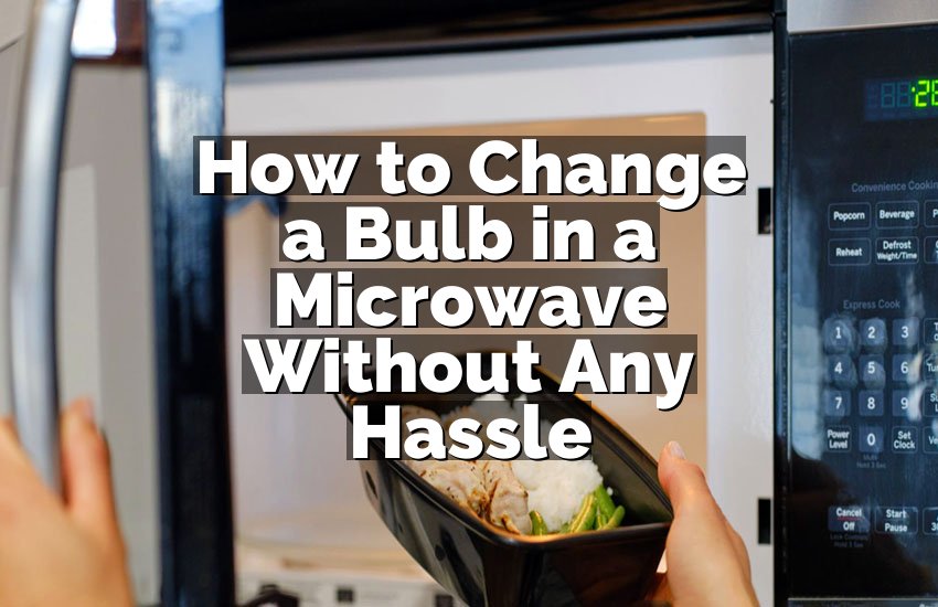 How to Change a Bulb in a Microwave Without Any Hassle