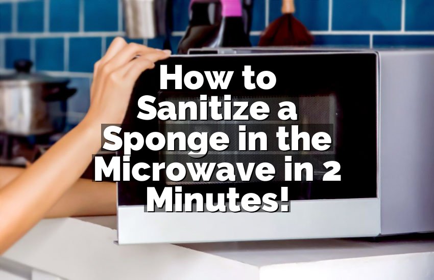 How to Sanitize a Sponge in the Microwave in 2 Minutes!